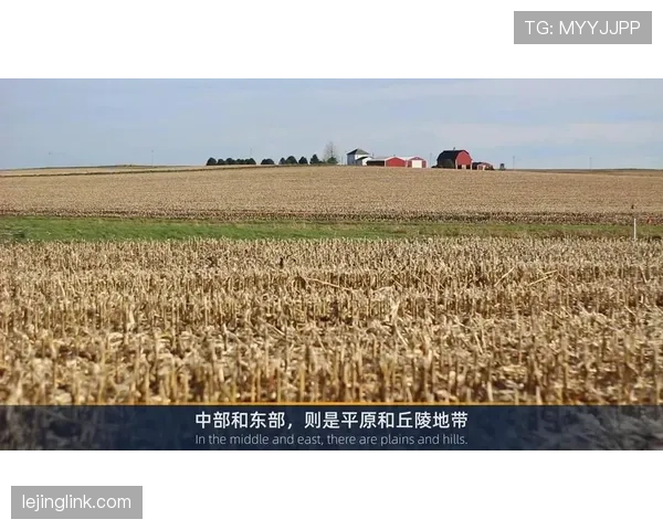 加拿大能否超越预期表现